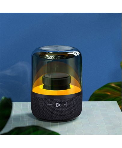 Portable Transparent Bluetooth Speaker