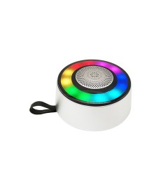 Mini Speaker