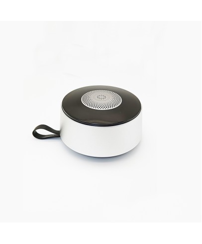 Mini Speaker
