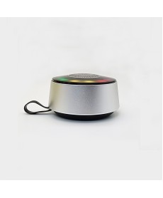 Mini Speaker