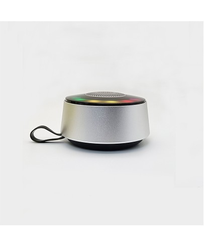 Mini Speaker