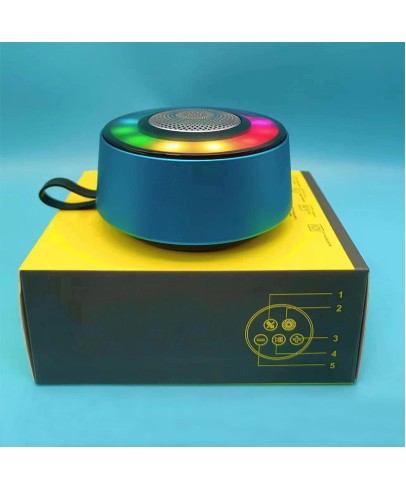 Mini Speaker