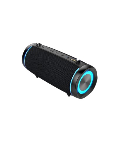 Portable Speaker