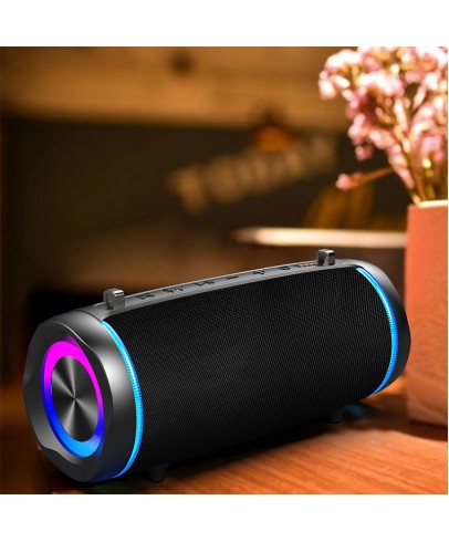 Portable Speaker