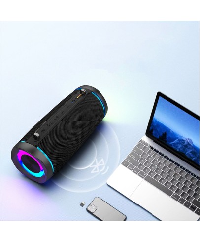 Portable Speaker