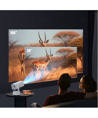 Mini Full HD Projector