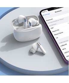 Wireless Earbuds with Digital Display Charging Case