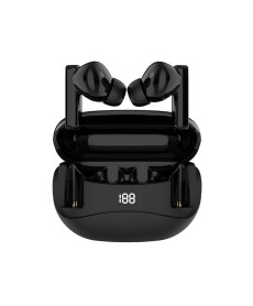 True Wireless Stereo (TWS) Earbuds