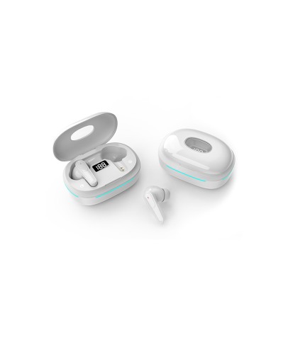In-Ear True Wireless Earbuds