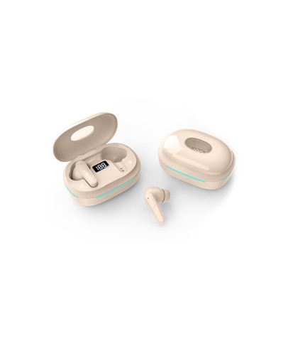 In-Ear True Wireless Earbuds