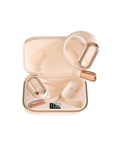 Wireless In-Ear Earbuds