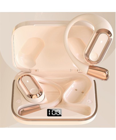 Wireless In-Ear Earbuds