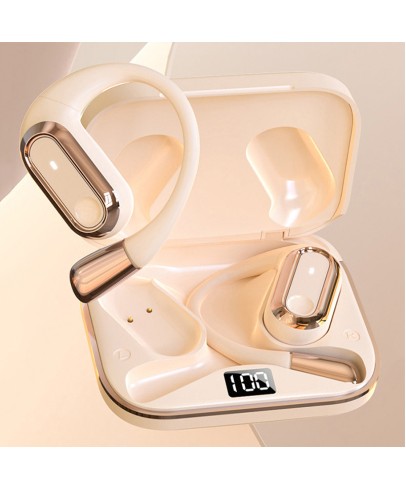 Wireless In-Ear Earbuds