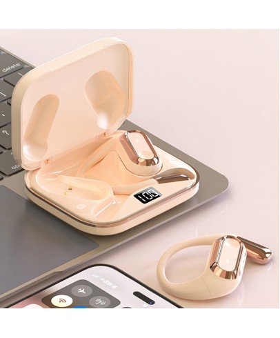 Wireless In-Ear Earbuds
