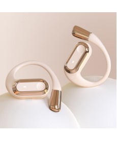 Wireless In-Ear Earbuds